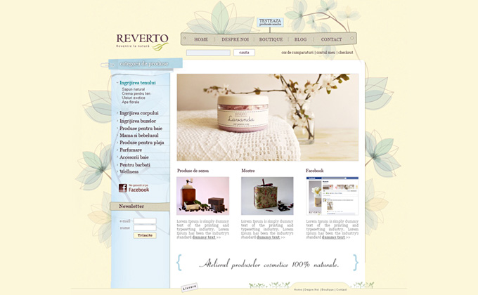 web design e-commerce soap website