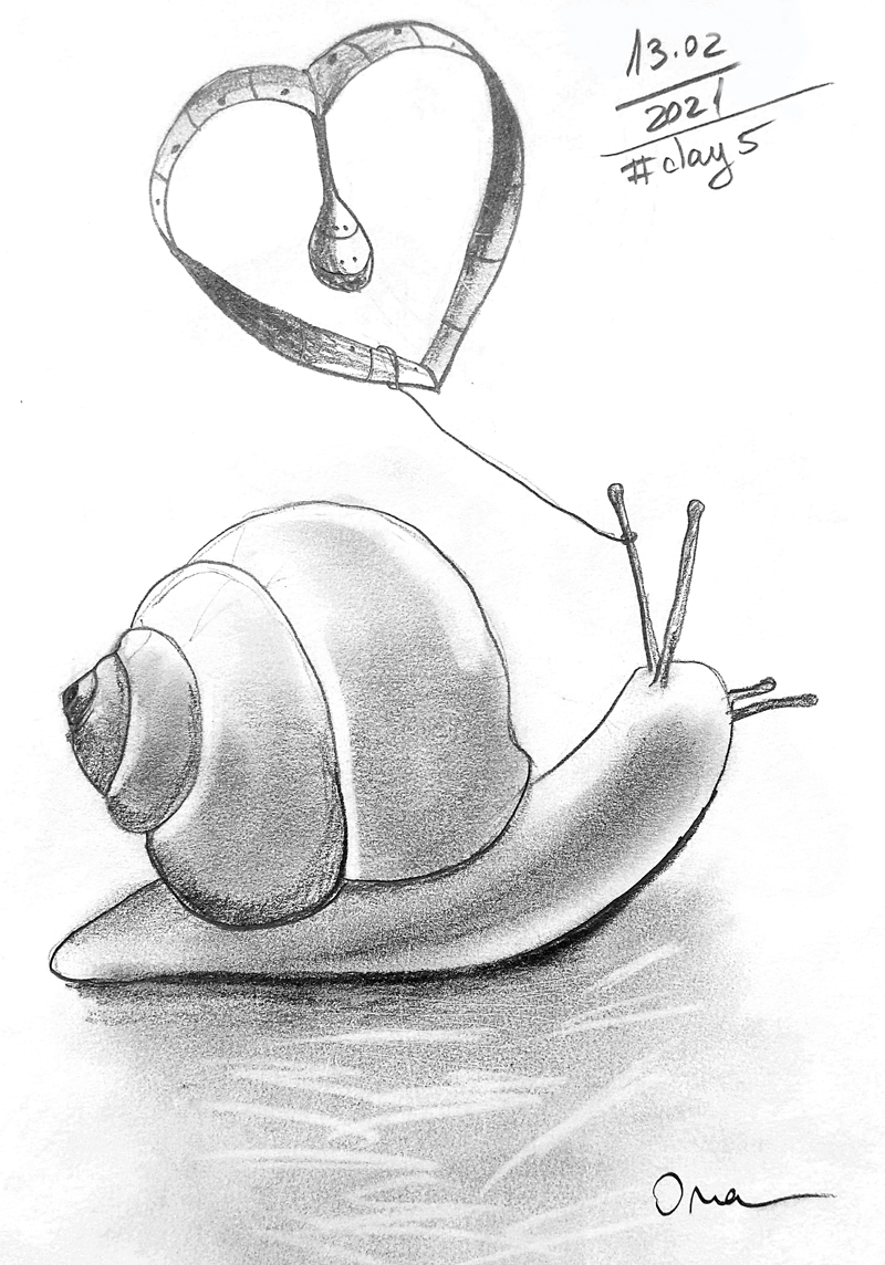 sketch illustration of a snail