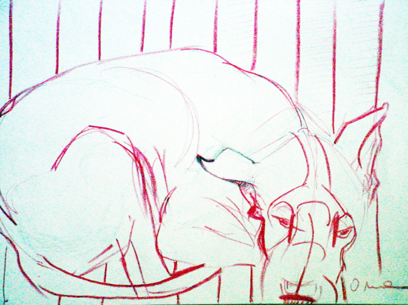 dog illustration sketch