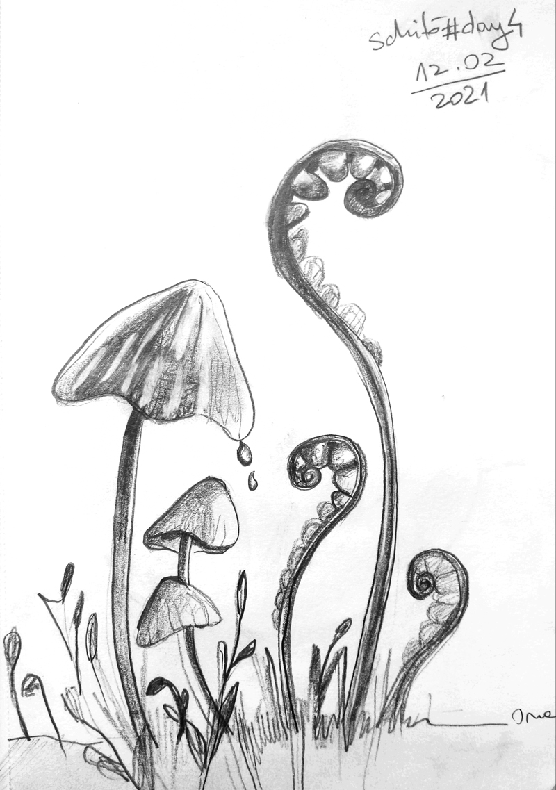mushrooms in the rain sketch