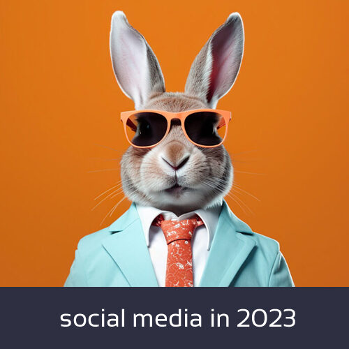 My conclusion about the use of social media in 2023