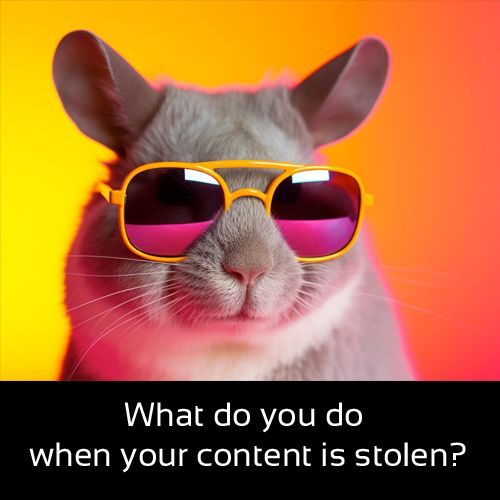 What do you do when your content is stolen?