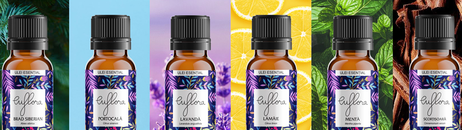 banner euflora portfolio
